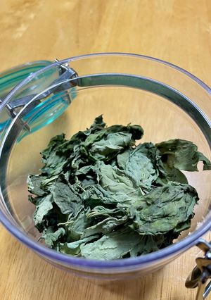 部屋干しで自家製乾燥バジル🌿-レシピのメイン写真