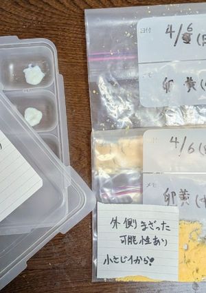 たまご【離乳食中期】-レシピのメイン写真
