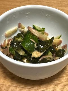 きゅうり茗荷わかめのポン酢和え-レシピのメイン写真