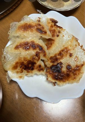 羽付き鶏ひき肉餃子-レシピのメイン写真