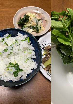 大根菜めし-レシピのメイン写真