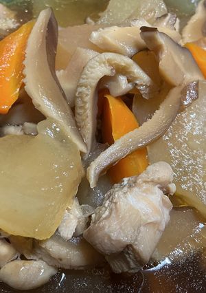 圧力鍋で冬瓜と鶏もも肉の煮物-レシピのメイン写真