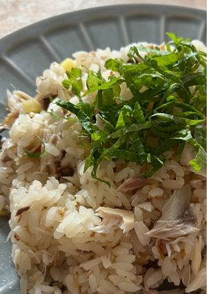 鯖のまぜ寿司-レシピのメイン写真