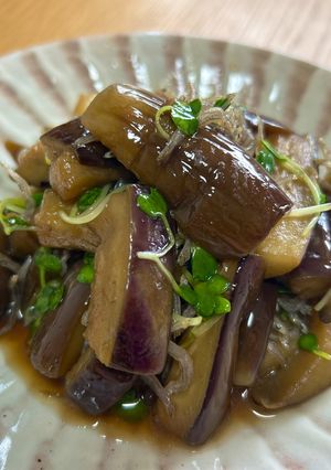 茄子とちりめんのごま油ポン酢あえ-レシピのメイン写真