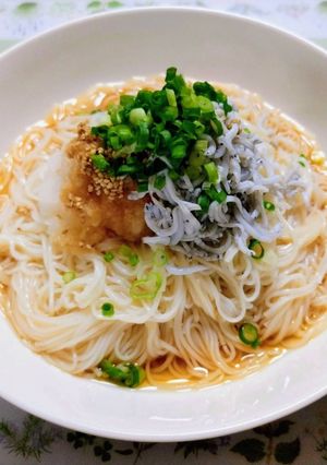 簡単昼食夕飯しらす大根おろしぶっかけ素麺-レシピのメイン写真