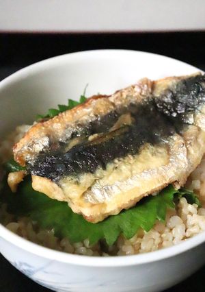美味★たれは蕎麦つゆ★鰯の天ぷら丼-レシピのメイン写真