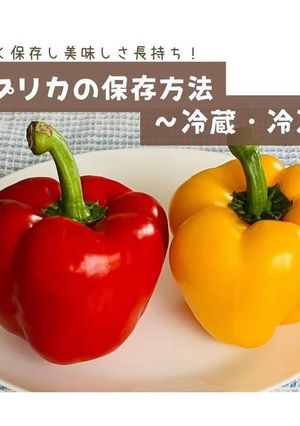 パプリカの保存方法-レシピのメイン写真