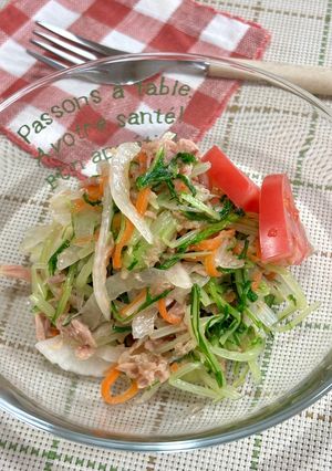 新玉ねぎと水菜のドレッシングサラダ♪-レシピのメイン写真