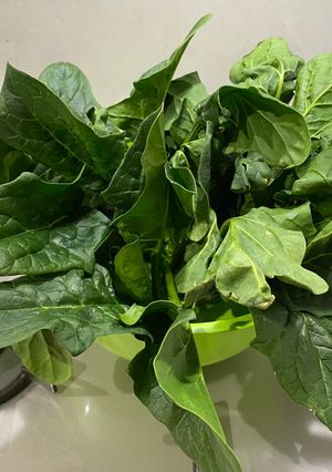 ほうれん草をシャキシャキにする方法-レシピのメイン写真
