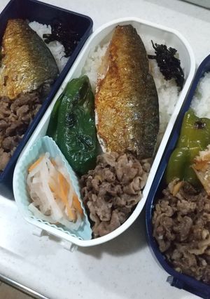 塩サバどどん！弁当-レシピのメイン写真