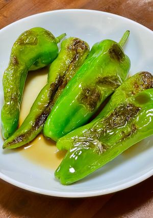 ししとうの焼き浸し 3倍濃縮麺つゆレシピ-レシピのメイン写真