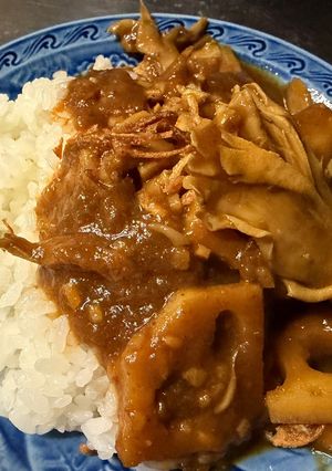 蓮根ときのこのスパイス養生カレー-レシピのメイン写真