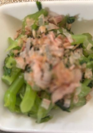 さっぱり美味しい😋高菜の浅漬け-レシピのメイン写真