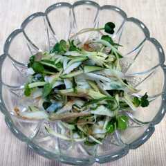 รูปของ ちくわと細切り野菜の梅風味和え