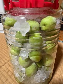 梅ジュース-レシピのメイン写真