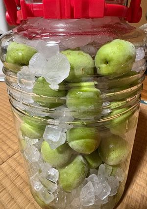 梅ジュース-レシピのメイン写真