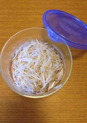 もやしシャキシャキの下処理方-レシピのメイン写真