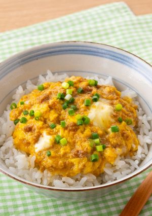 とりそぼろあんかけ丼-レシピのメイン写真