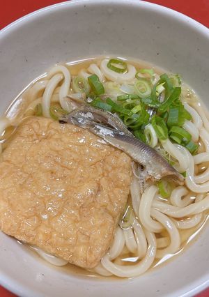 本格時短にぼし昆布鰹節少量でうどんつゆ-レシピのメイン写真