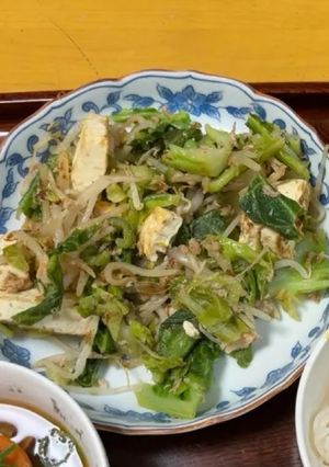 塩をあとがけする豆腐チャンプルー-レシピのメイン写真