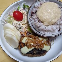 ビックリハンバーグ 基本からアレンジまで！思わずつくりたくなる「ビックリの