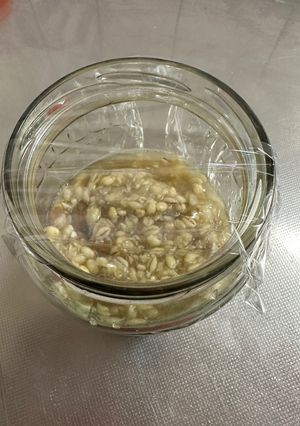 玉ねぎひしお(備忘メモ)-レシピのメイン写真
