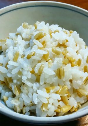 グレインカットのオーツ麦入りご飯-レシピのメイン写真