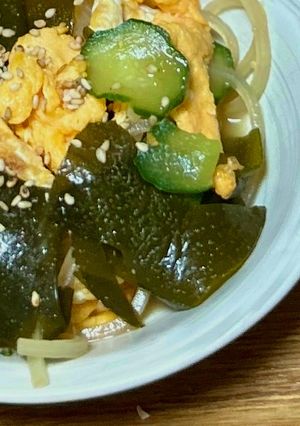 新わかめで玉子入り葛切り中華サラダ-レシピのメイン写真