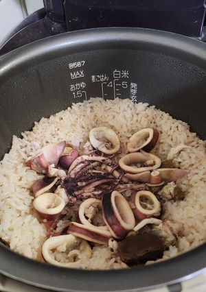 高タンパク飯！スルメイカでイカの炊き込みご飯-レシピのメイン写真