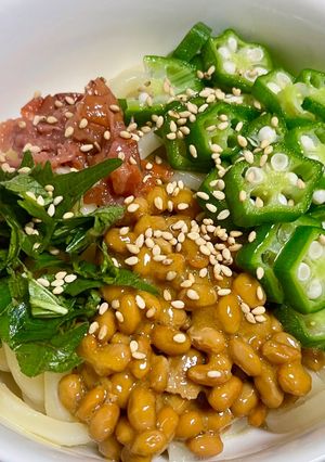 簡単♪ネバネバうどん-レシピのメイン写真