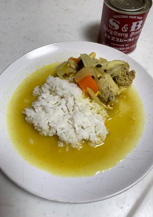 超簡単！スリランカ風チキン＆ポークカレー-レシピのメイン写真