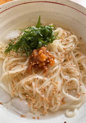 冷た〜い梅うどん-レシピのメイン写真