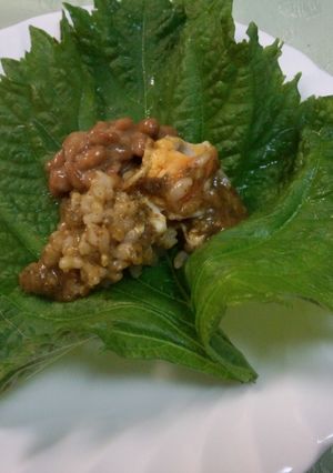 紫蘇巻き納豆玉子カレー-レシピのメイン写真