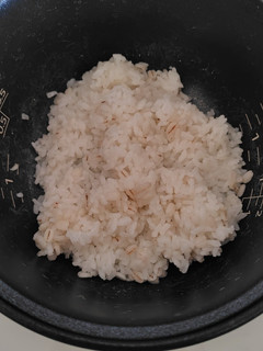ふっくら柔らかく押し麦ご飯の炊き方-レシピのメイン写真
