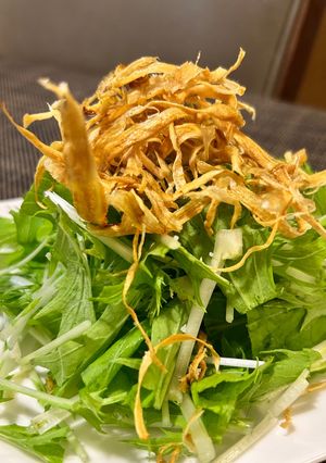 パリパリ牛蒡と水菜のシャキシャキサラダ-レシピのメイン写真