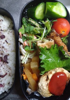 本日のお弁当♪9/2豆腐ハンバーグ-レシピのメイン写真
