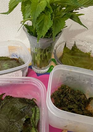 エゴマ　副菜いろいろ-レシピのメイン写真