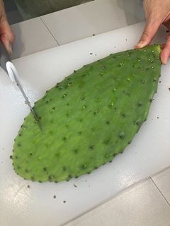 サボテンの下処理&保存方法-レシピのメイン写真