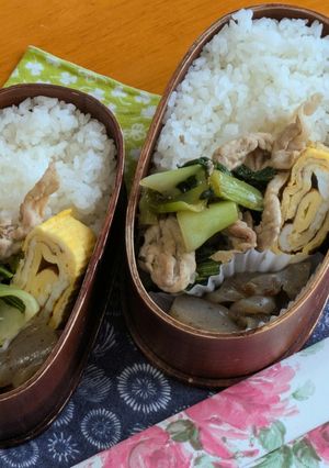 お弁当2025年8月1日-レシピのメイン写真