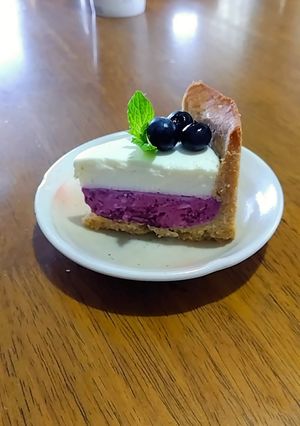 断面で映える♡ブルーベリーレアチーズタルト-レシピのメイン写真