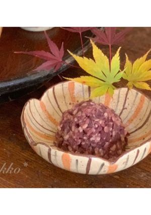 ホームベーカリーで作る発酵あんこ-レシピのメイン写真