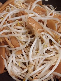 【生活費節約メニュー】もやしとメンマ炒め-レシピのメイン写真