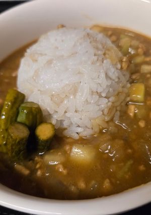 簡単!とうがん消費カレー-レシピのメイン写真