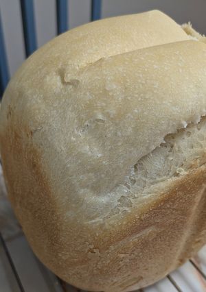 HBで自家製酵母でストレート法食パン-レシピのメイン写真