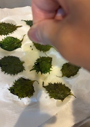 大葉のパリパリ海苔-レシピのメイン写真