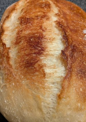 オーバーナイトバゲット袋焼きでクープ爆裂-レシピのメイン写真