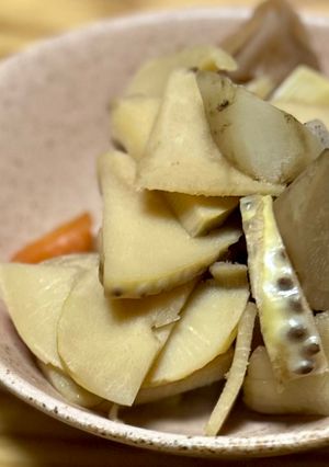 田舎料理◎たけのこ入り簡単根菜の煮物-レシピのメイン写真