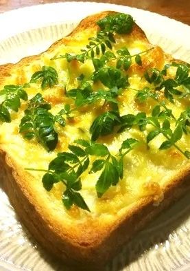 木の芽（山椒の葉）チーズトースト-レシピのメイン写真