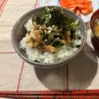 しらすとモロヘイヤのネバネバ丼