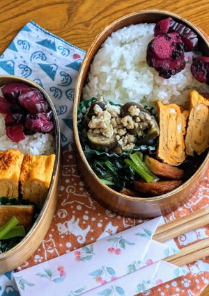 お弁当2026年5月13日-レシピのメイン写真